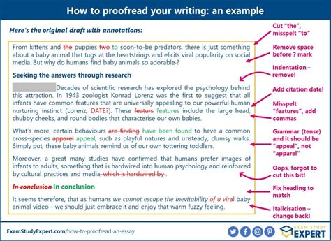Full Download How To Proofread A Document 