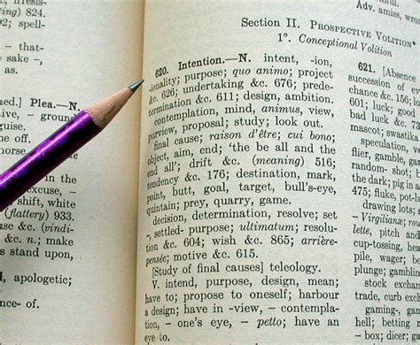 Read How To Use A Dictionary How To Use A Thesaurus 