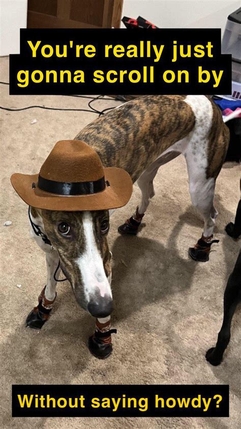 Howdy How To Reply
