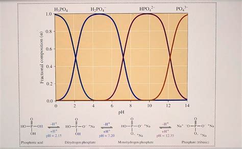 Hpo42 Ph