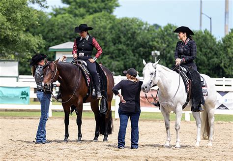 blackjack online: Apostando nas Melhores Apostas Desportivas Online com a Garantia de Segurança dos Fundos - Foto 2