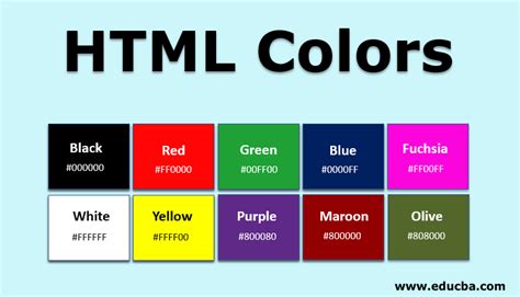 Html Colour And The Body Tag Wiki Web My Body Colouring Pages - My Body Colouring Pages