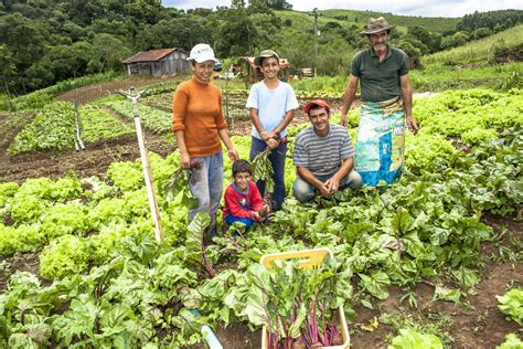 familia significado