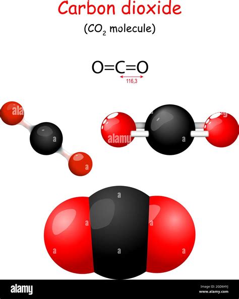 dióxido de carbono