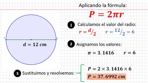 circulo de cores