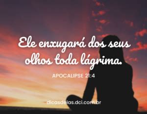 frases sobre