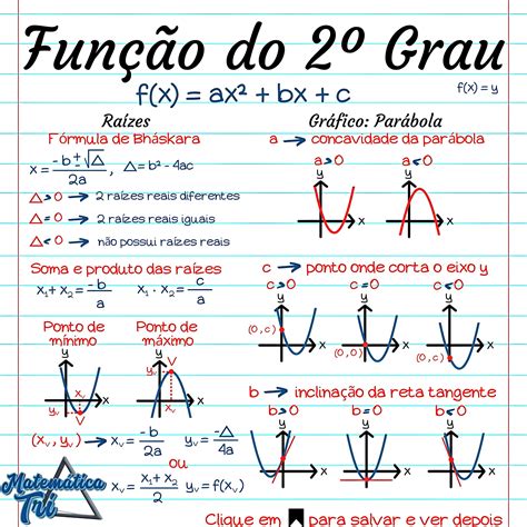 função do rim