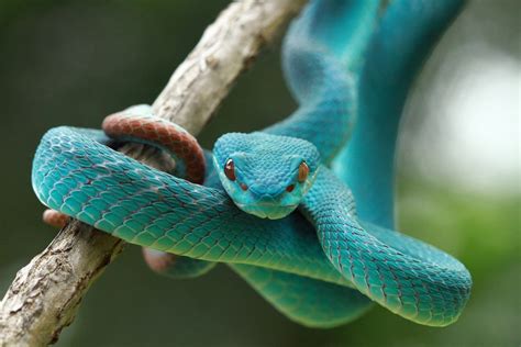 sonhar com criança desconhecida