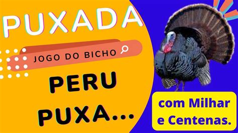 puxada do macaco