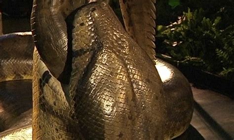 titanoboa tamanho