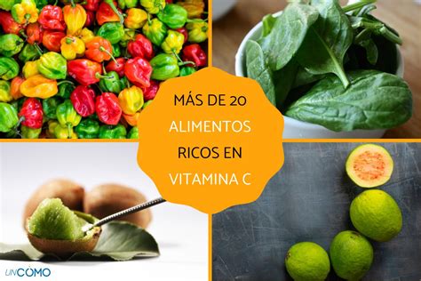 vitamina b12 valores de referência