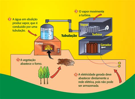 biomassa é renovavel