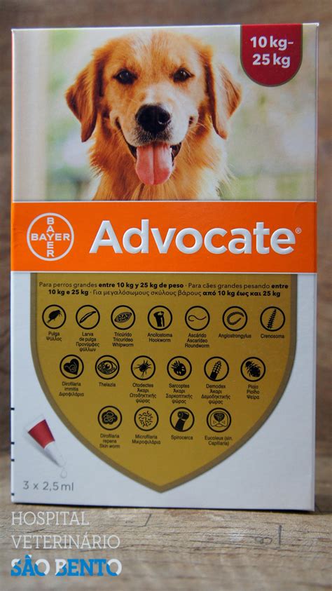 advocate cachorro