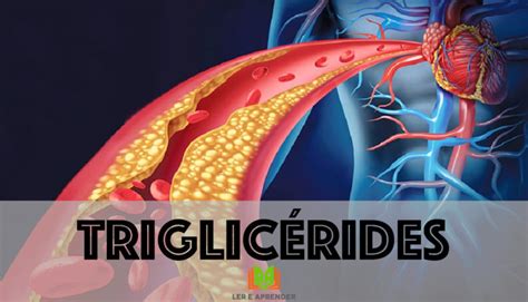 triglicérides baixo