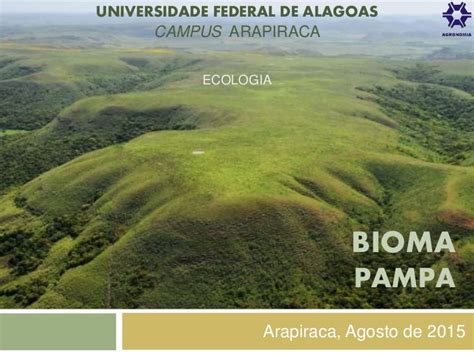 bioma amazônia