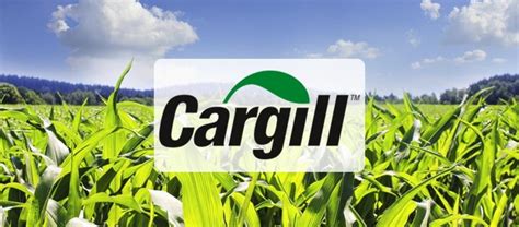 cargill vagas