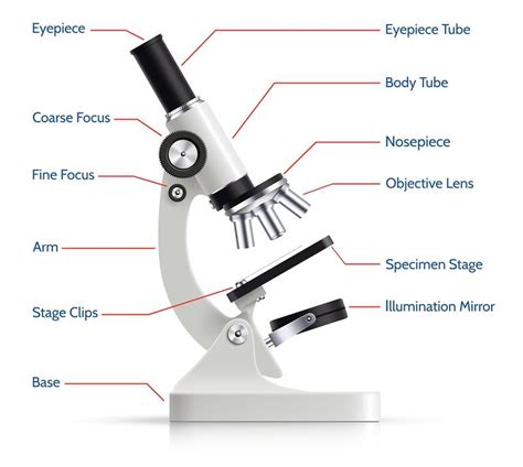 microscópio óptico