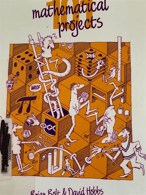 101 Mathematical Projects