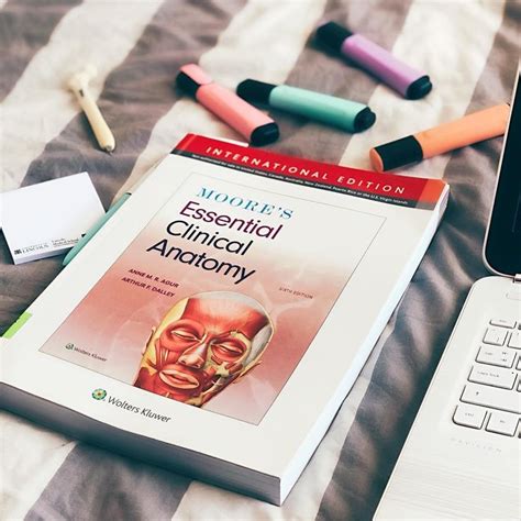 60 Backlink Antomy