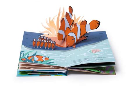 A  Pop  Up  Book  Boats