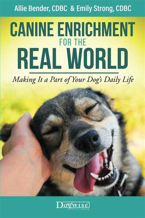 A Basic Understanding Of Canine Enrichment