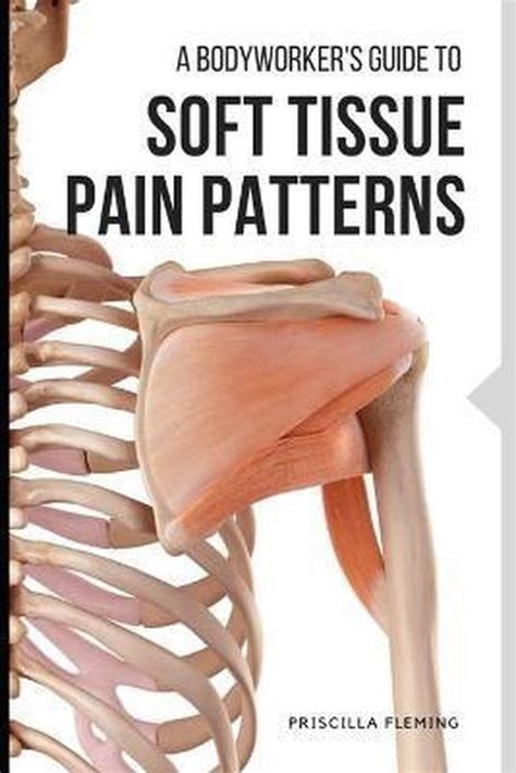 A Bodyworker's Guide to Soft Tissue Pain Patterns
