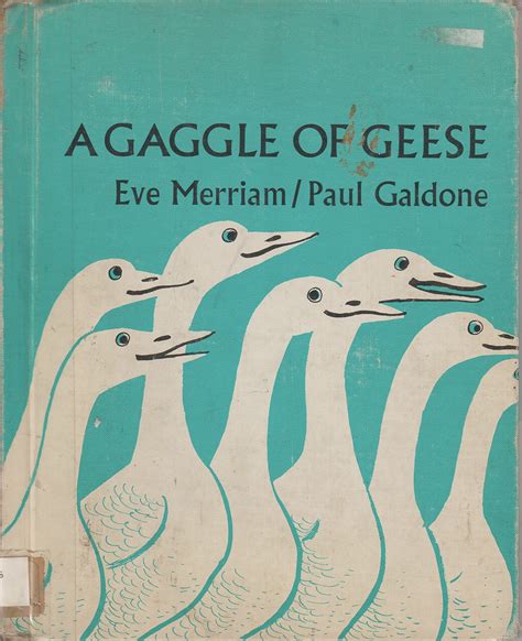 A Gaggle of Geese