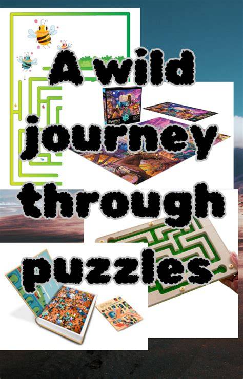 A Journey Through Puzzles