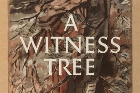 A Witness Primer