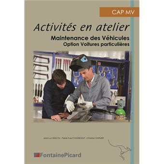 ACTIVITES PROFESSIONNELLES CAP MVA
