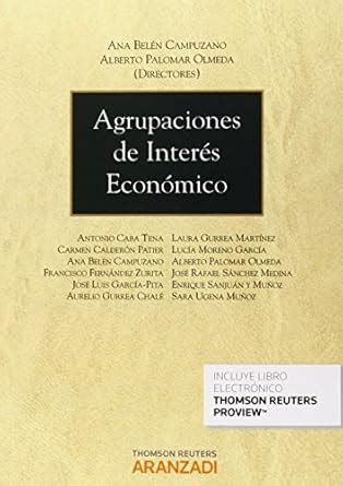 AGRUPACIONES DE INTERES ECONOMICO