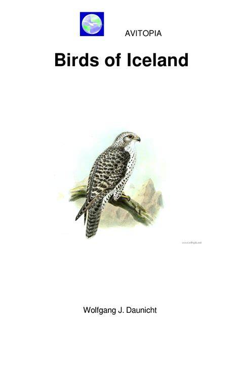 AVITOPIA - Birds of Iceland