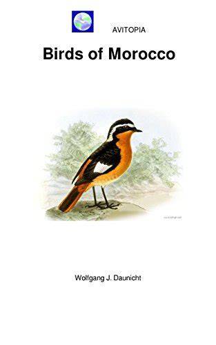 AVITOPIA - Birds of Morocco