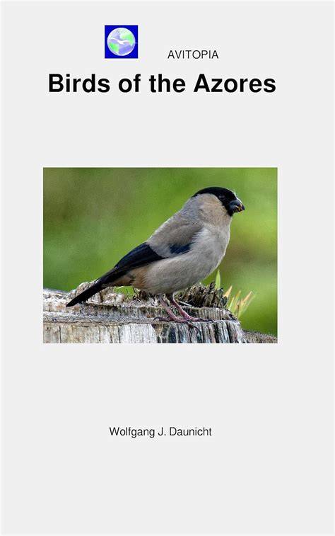 AVITOPIA - Birds of the Azores