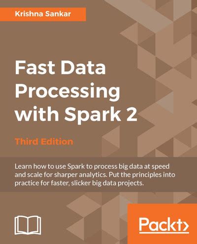 Access financial data processing(Chinese Edition)