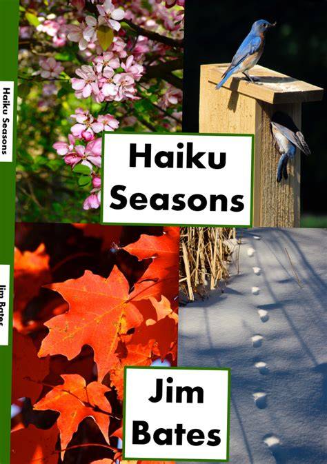 Adirondack Seasons: Haiku
