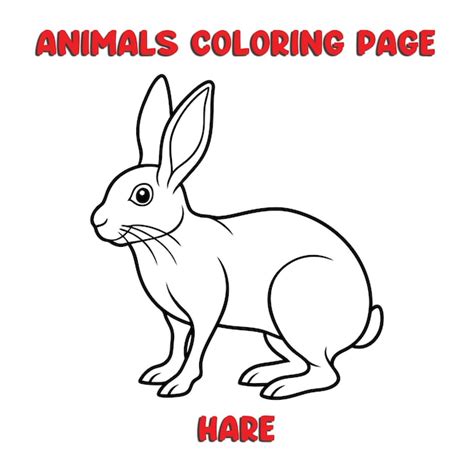 Adorable Hare - Coloring Book