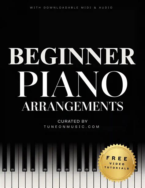 Adult Beginner
