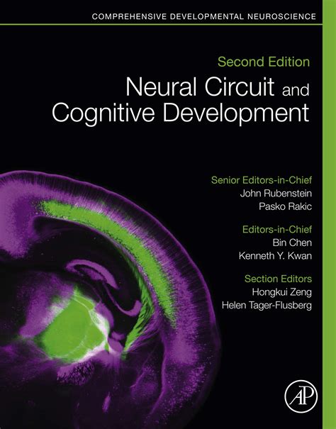 Adult Cognitive Development