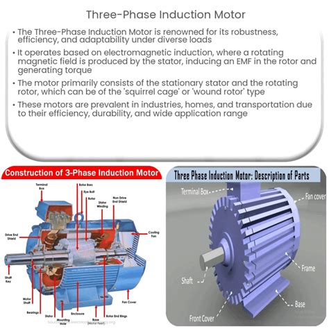 Advanced Simulation of a Three Phase Induction Motor
