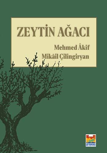 Akil Agaci