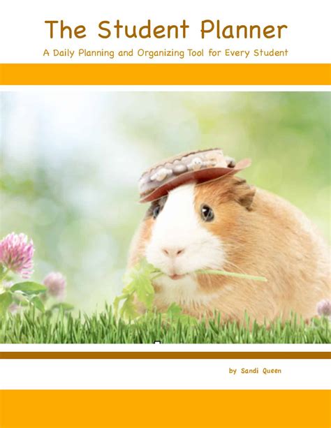 Alice the Guinea Pig
