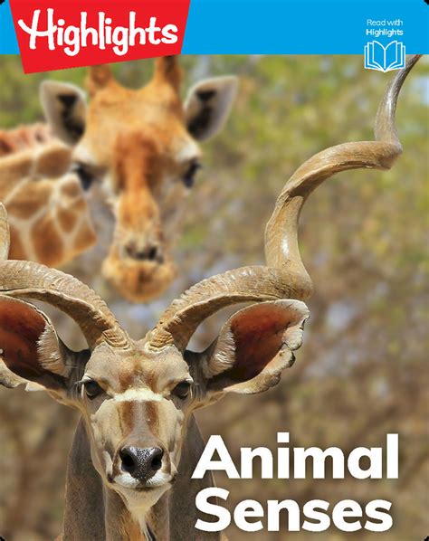 Amazing Animal Senses