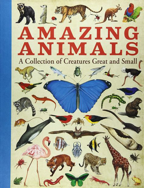 Amazing Animals