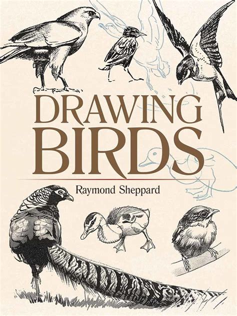 Amazing Bird Drawing Books