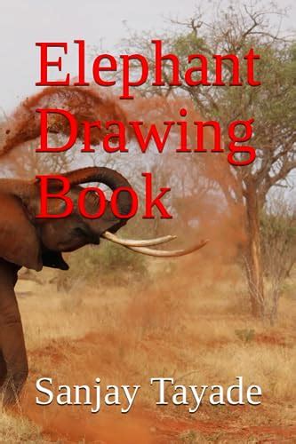 Amazing Elephant Drawing