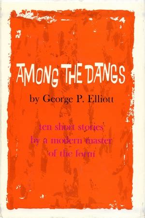 Among the Dangs