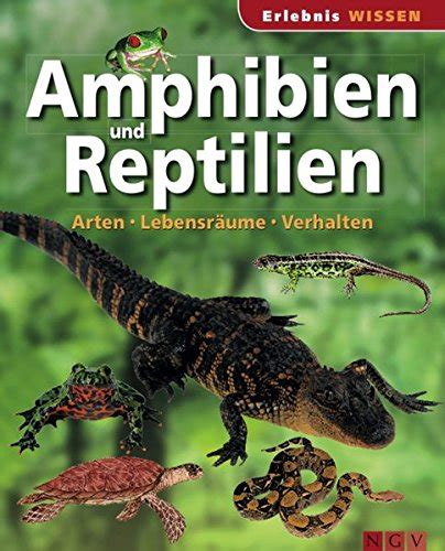 Amphibien