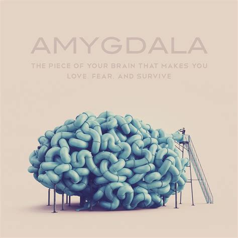 Amygdala Magazine, Issue 1