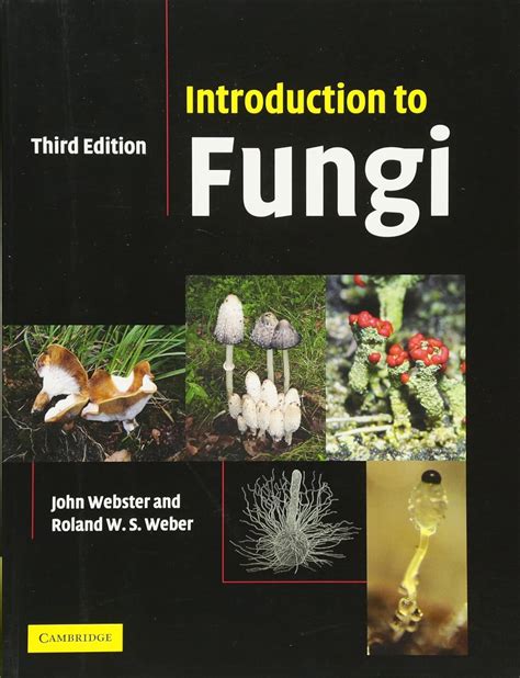 An Introduction To Fungi